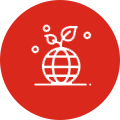 MoneyGram MoneyGram Foundation icon - red background